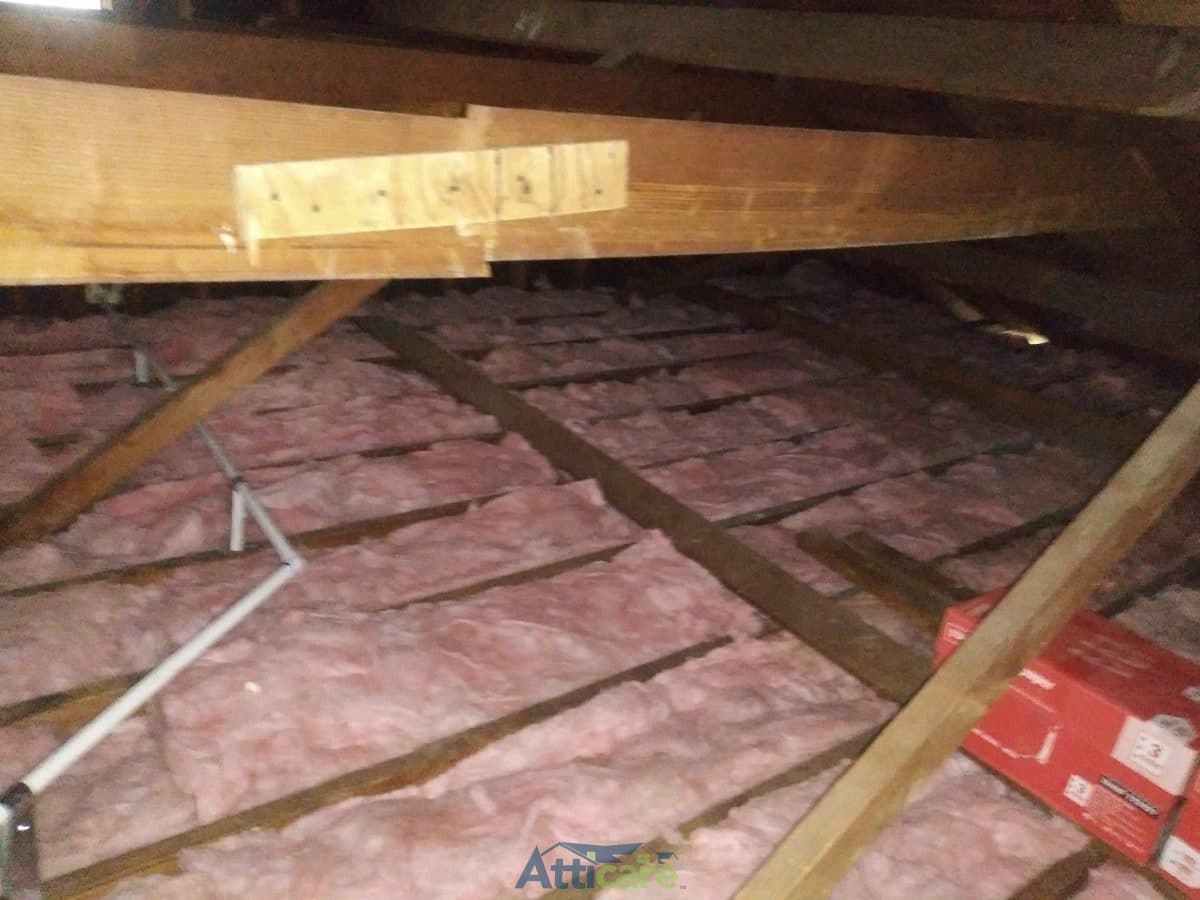 Insulation Replacement & Rodent Proofing Torrance, CA Project