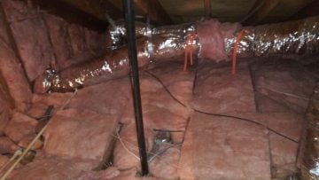 Attic Rodent Proofing & Insulation Replacement in Westlake Village, CA