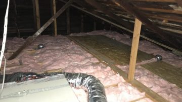 Attic Cleanup & Insulation Replacement in Torrance, CA
