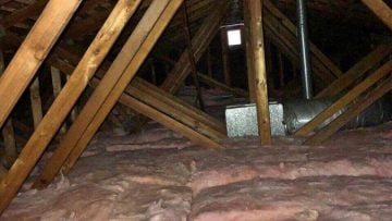 Attic and Crawlspace Cleanup in Concord, CA