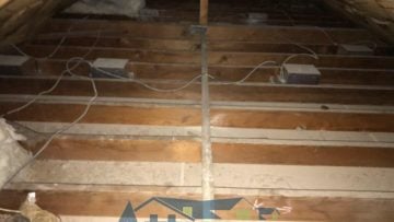 Attic Cleanup & Rodent Proofing in Pasadena, CA