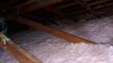 Attic Rodent Proofing & Insulation Installation in Los Angeles, CA