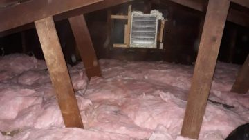 Attic Insulation Replacement & Rodent Proofing in Los Angeles, CA