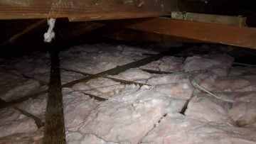 Attic Cleanup & Insulation Installation in Claremont, CA