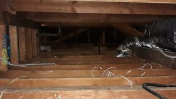 Attic Cleanup & Rodent Proofing in Los Angeles, CA