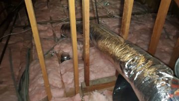Attic Cleanup & Insulation Replacement in Thousand Oaks, CA