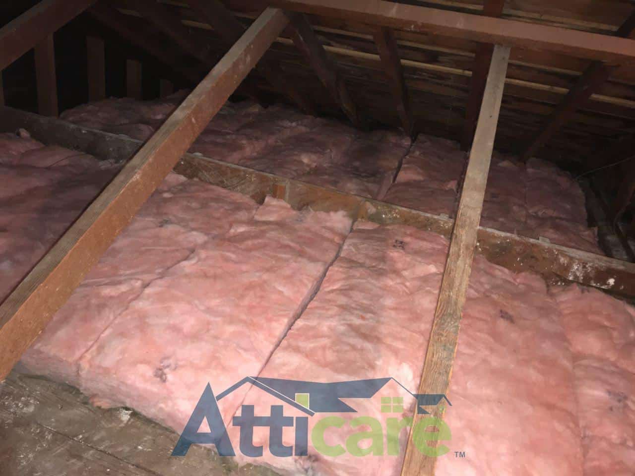 Pasadena Ca Attic Clean Up Insulation Installation Atticare