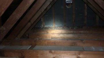Attic Insulation Removal and Replacement in River Edge, NJ