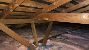 Attic Cleaning Services in San Jose, CA