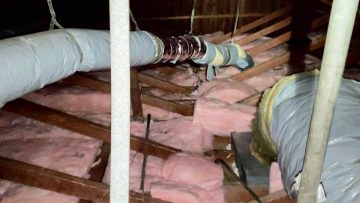 Attic Rodent Proofing & Insulation Installation in Burbank, CA