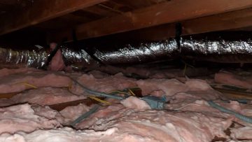 Attic Rodent Proofing & Insulation Replacement in Torrance, CA