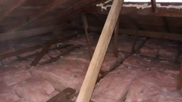 Attic Rodent Proofing & Insulation Installation in Long Beach, CA