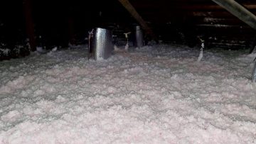 Attic Insulation Replacement & Rodent Proofing in Pasadena, CA