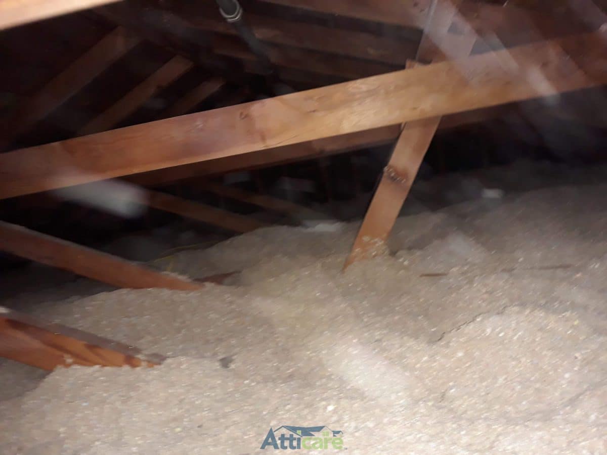 Attic Clean Up Project Photos in Los Angeles, CA by Atticare