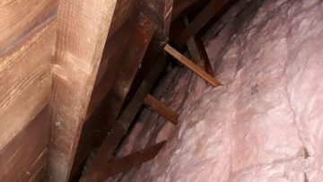 Attic Insulation Replacement & Rodent Proofing in Van Nuys, CA