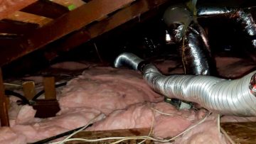 Attic & Crawlspace Insulation Installation in Los Angeles, CA