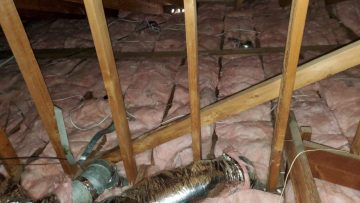 Attic Insulation Replacement & Rodent Proofing in Anaheim, CA