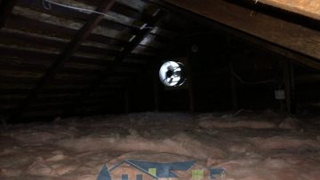 Attic Cleanup Services in Oakland, CA