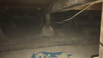 Crawl Space Clean up & Rodent Proofing in Los Angeles, CA