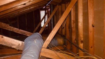 Attic Cleanup and Rodent Proofing in Fremont, CA