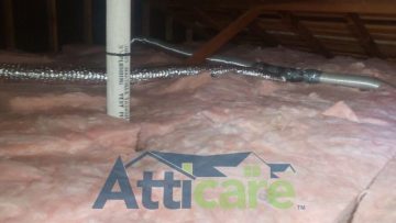 Attic Cleanup and Rodent Proofing in Walnut Creek, CA