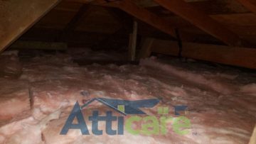 Attic Insulation Replacement and Rodent Proofing in Bay Point, CA