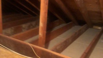 Attic Insulation Replacement and Rodent Proofing in River Vale, NJ