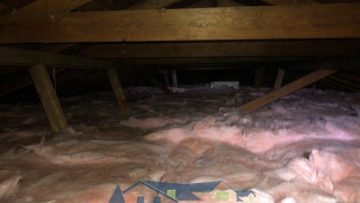 Attic Insulation Replacement and Rodent Proofing in San Jose, CA