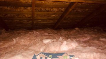 Attic Cleanup and Rodent Proofing in San Leandro, CA