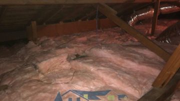 Crawlspace Clean Up & Attic Insulation Installation in Winnetka, CA