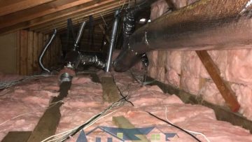 Attic Clean Up & Insulation Replacement in Thousand Oaks, CA