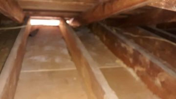 Attic Clean Up & Rodent Proofing in Whittier, CA