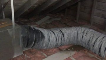 Insulation Replacement and Rodent Proofing Services in Morristown, NJ