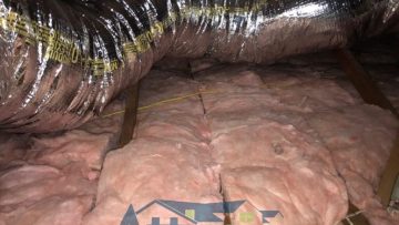Attic Clean Up & Insulation Replacement in Long Beach, CA