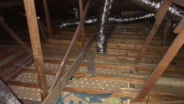 Attic Clean Up & Rodent Proofing in Torrance, CA