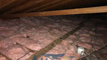 Attic & Crawlspace Clean Up in Encino, CA