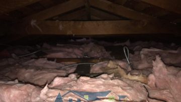 Attic Clean Up & Insulation Installation in Burbank, CA