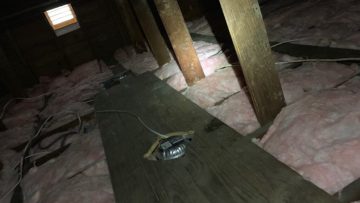 Attic Insulation Services in Haworth, NJ