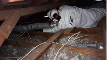Attic Clean Up and Insulation Installation in Garden Grove, CA