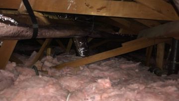 Attic Clean Up & Insulation Replacement in Sherman Oaks, CA