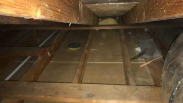 Attic Insulation Replacement & Rodent Proofing in Chatsworth, CA