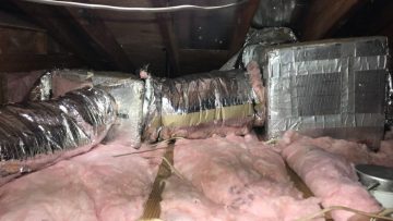 Attic Clean Up & Rodent Proofing in Los Angeles, CA