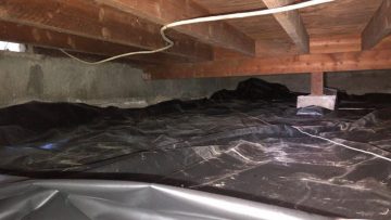 Attic Cleanup & Insulation Installation in Los Angeles, CA
