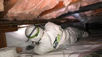Crawlspace Vapor Barrier and Cleanup in Fremont, CA