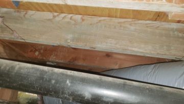 Crawlspace Clean Up & Rodent proofing in Van Nuys, CA