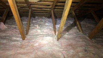 Attic Clean Up & Insulation Replacement in San Marino, CA