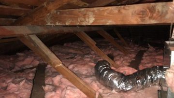 Attic Clean Up & Insulation Installation in Lakewood, CA