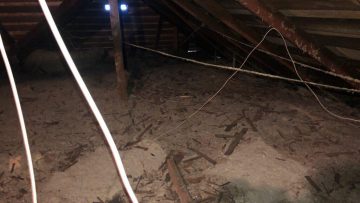 Attic Clean up & Insulation Installation in Pasadena, CA