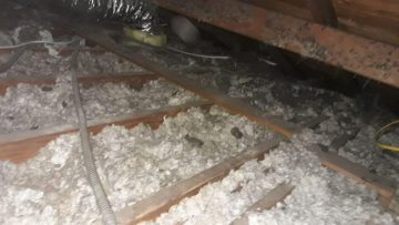 Crawlspace Clean Up in Los Angeles, CA