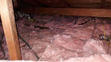 Attic Insulation Replacement in Glendale, CA